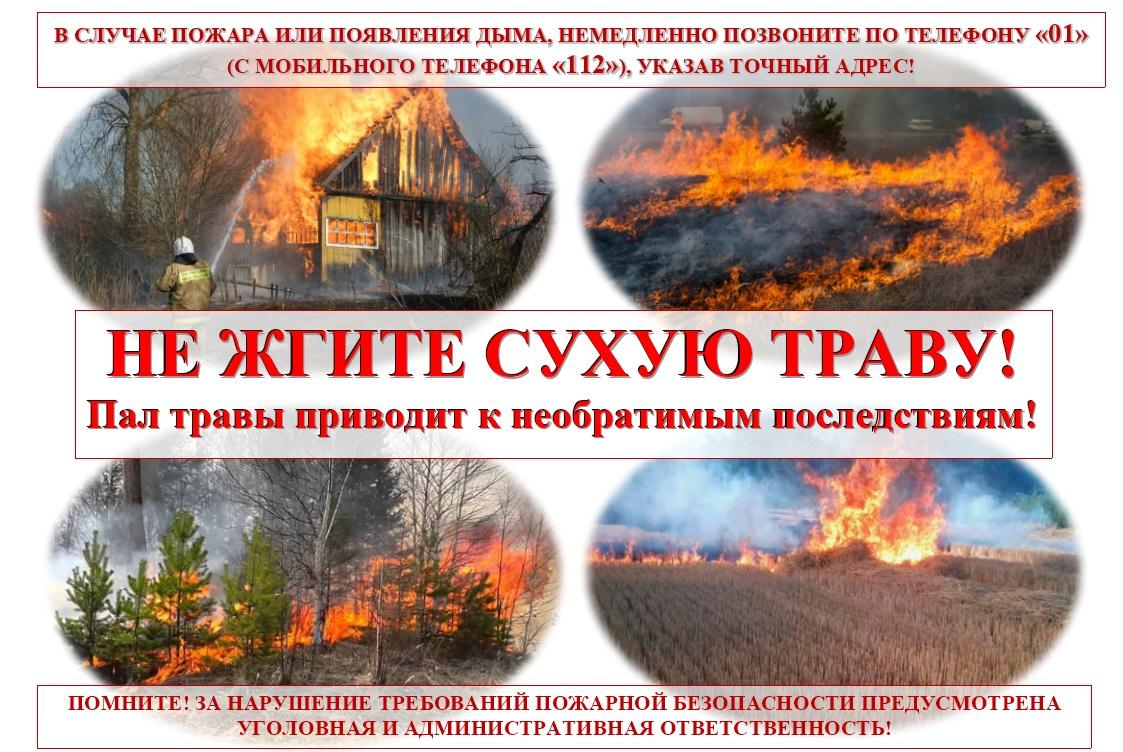 Опасность и последствия пала сухой травы | 29.04.2024 | Междуреченский -  БезФормата