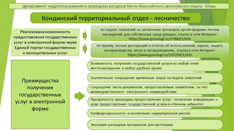 Контрольная работа: Компетенция налоговых органов в сфере производства и оборота этилового спирта, алкогольной и спиртосодержащей продукции